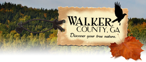 Walker County, GA: Discover your true nature
